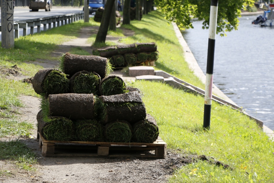 Жители Ленобласти предложили тысячи идей для обновления общественных пространств